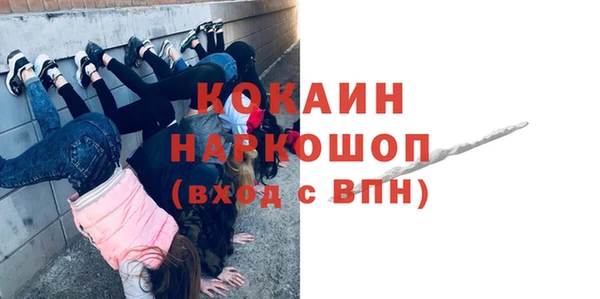 твердый Дмитриев