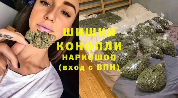 твердый Дмитриев