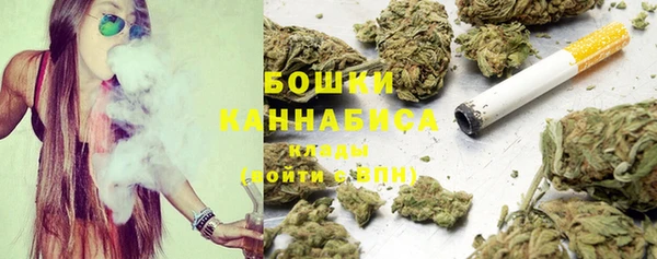 твердый Дмитриев