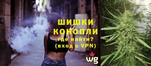 твердый Дмитриев