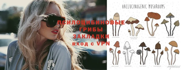 каннабис Дмитров