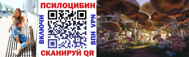 Галлюциногенные грибы мицелий MEGA как войти Первомайск закладка